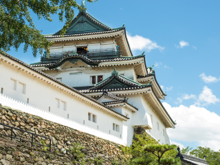 日本大阪私人定制旅游_日本大阪旅游團(tuán)報(bào)價(jià)_日本大阪旅游一次多少錢