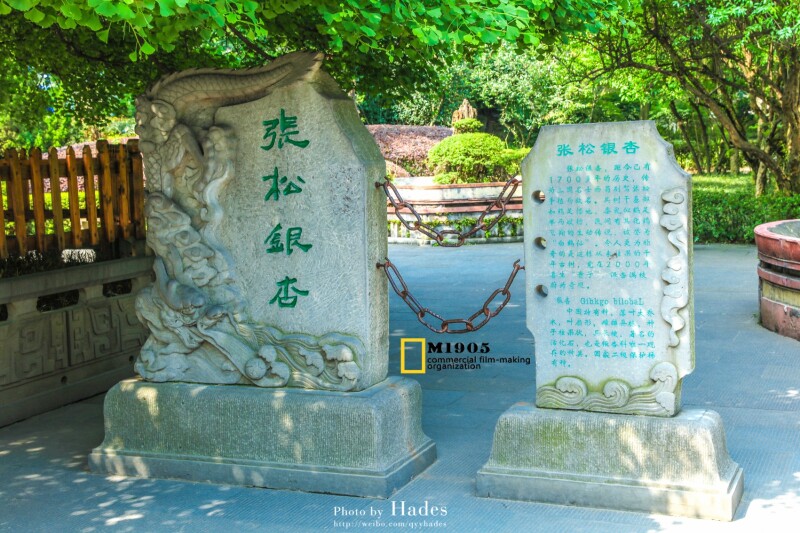 从正门到第一个景区伏龙殿距离不短.