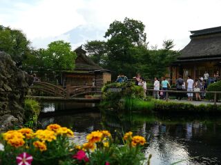 日本跟团旅游价格_广州日本旅游团_日本7天游