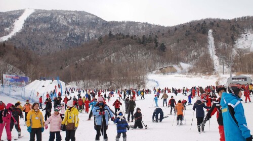 [圣诞] 哈尔滨-亚布力-雪乡-大雪谷-冰雪大世界双高5日游>东北初体验