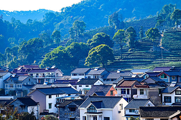 景点介绍 作为杭州著名的龙井茶生产基地梅家坞村拥有"不雨山长涧,无