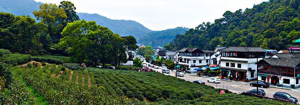 杭州旅游景点 从梅家坞到西湖交通_从梅家坞到西湖有多远_从梅家坞到