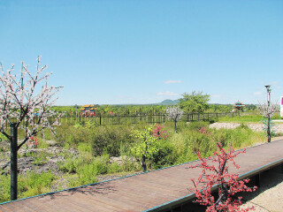 去大連旅游_大連半自助游_大連旅游團(tuán)