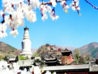 山西五臺山組團旅游_山西五臺山旅行團_去山西五臺山報團多少錢