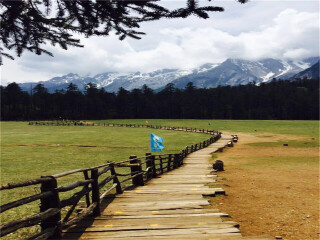 丽江跟团六日游_丽江旅游出国旅游_丽江八日旅游团