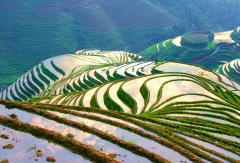 景点模块 