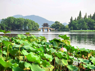 特價(jià)上海游_報(bào)團(tuán)去上海多少錢_上海游組團(tuán)