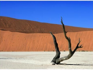 幾月去非洲南非旅游最便宜_非洲南非六日游價格_非洲南非旅游8日游