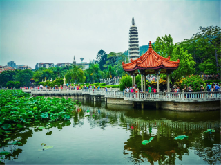 以往國慶廈門鼓浪嶼游價格_國慶廈門鼓浪嶼游價格_廈門鼓浪嶼旅游團報價2021