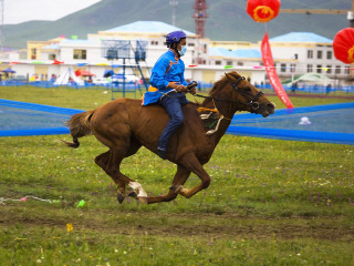 呼伦贝尔九日游多少钱跟团_呼伦贝尔7日跟团旅游_呼伦贝尔五日游旅行团