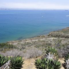 洛马岬灯塔的#旅图换旅费# #旅拍#