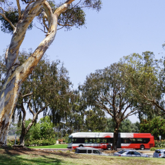 巴尔博亚公园的#旅图换旅费# #公园# #建筑#