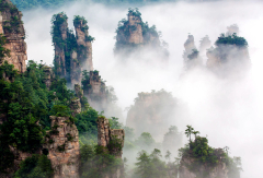 景点模块 