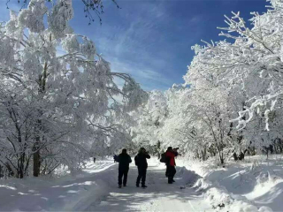 深圳跟团去哈尔滨旅游_报团旅游去哈尔滨_从深圳到哈尔滨旅游