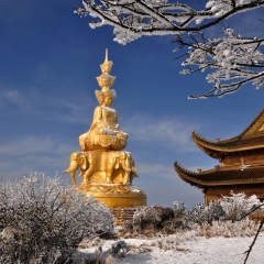 景点模块 