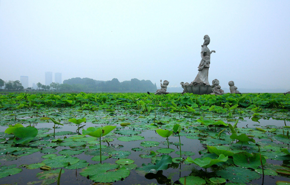【2018】12月去玄武区哪儿最好玩_玄武区旅游景点大全_玄武区旅游景点
