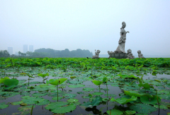 玄武湖公园 景点模块