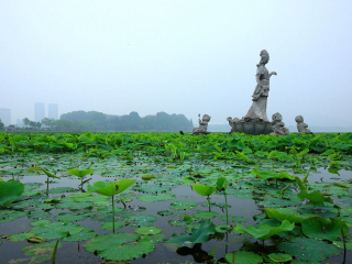 華東九月旅游_旅行團(tuán)華東游_跟團(tuán)華東游價格