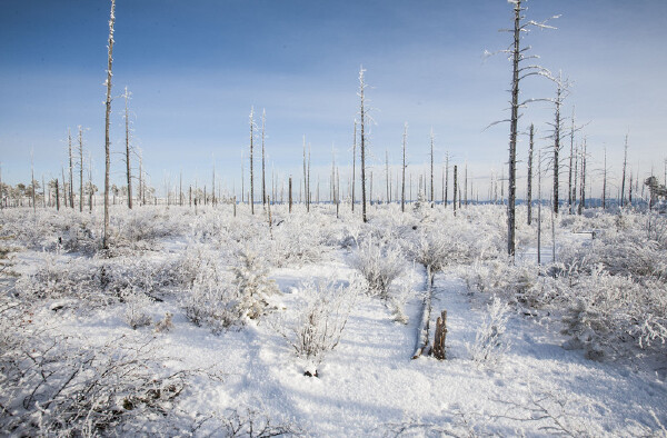 中秋节去加格达奇旅游必备物品_中秋节去加格
