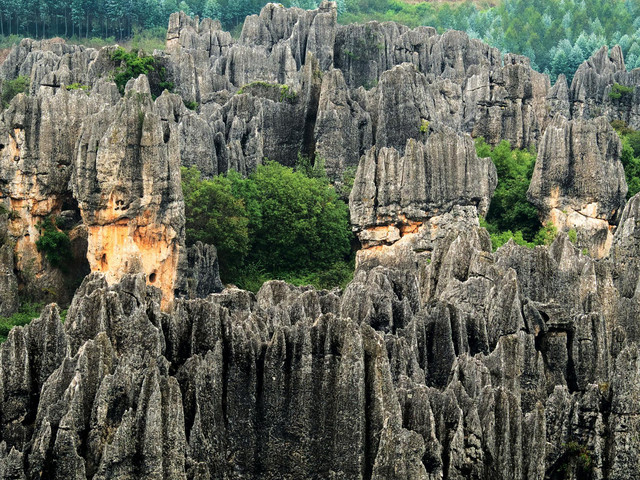 云南石林 县人口_云南石林县地质地图