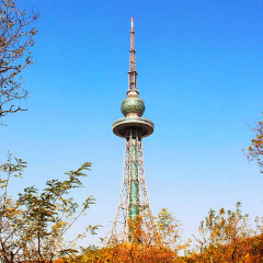 景点模块 
