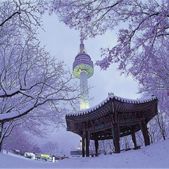 景点模块 