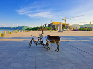 旅游團(tuán)內(nèi)蒙古呼倫貝爾_怎么去內(nèi)蒙古呼倫貝爾旅游_組團(tuán)去內(nèi)蒙古呼倫貝爾