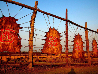 宁夏旅游人次_宁夏旅游普吉岛旅游_到宁夏跟团旅游
