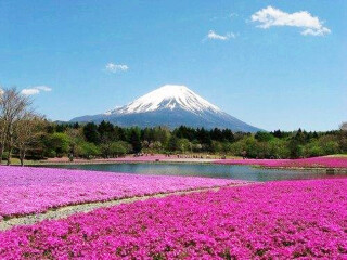 日本双飞旅游报价_跟团去日本游_去日本会议旅游