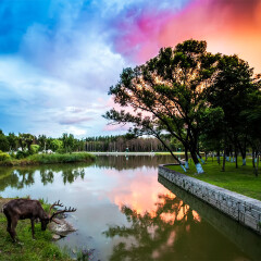 景点模块 