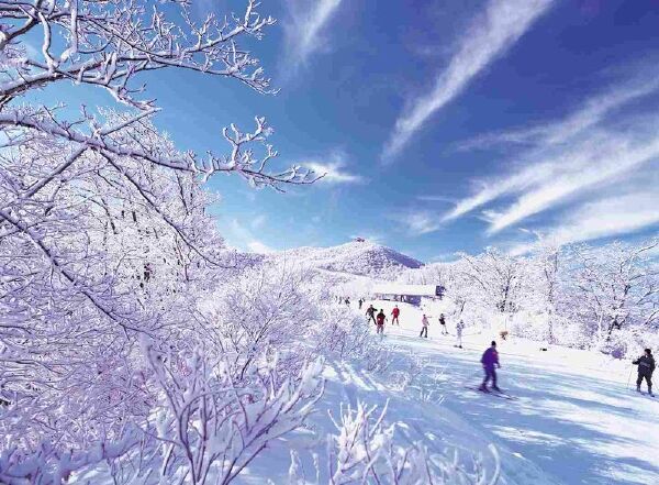 App：可将文本转化为语音 梦幻之战-无限恶梦5怨灵咒无尽内丹2023及ElevenLabs推出Reader