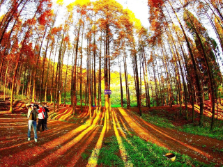 現(xiàn)在去云南香格里拉旅游多少錢_云南香格里拉旅行團_旅行團云南香格里拉游