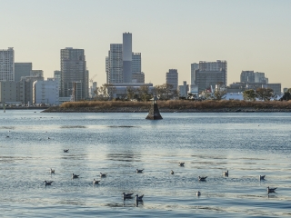 深圳特價日本游_日本旅行團旅游報價_國慶日本游價格