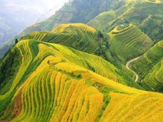 桂林旅游旅行团报价_赴桂林旅游价格_桂林6天跟团旅游
