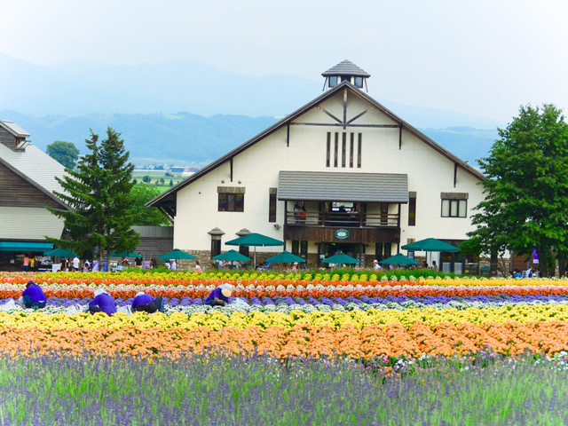 日本北海道来回机票 本地5晚6日游