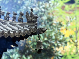 華東自由行組團(tuán)_華東旅游跟團(tuán)需多少錢_華東旅游團(tuán)報價