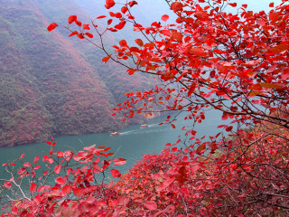近期重庆旅游_重庆过春节旅行团_去重庆旅行7天