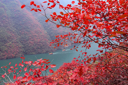 景点模块 