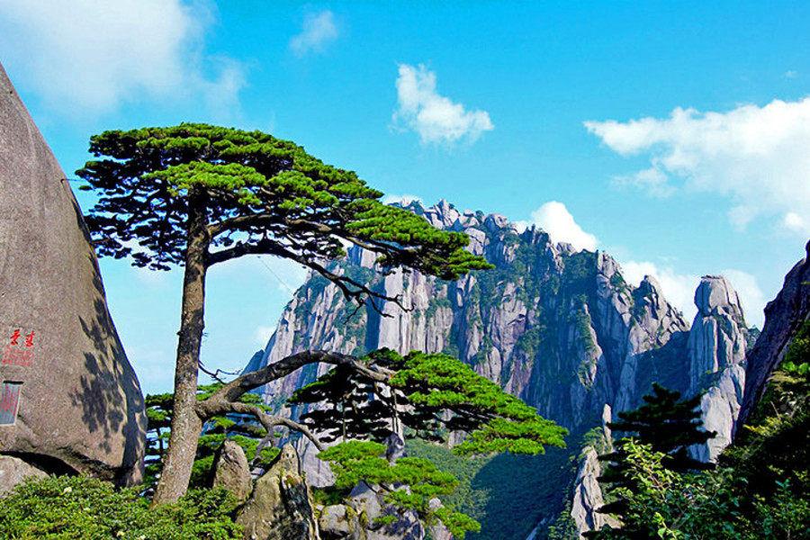  黄山全景2日游>指定山上挂四宾馆 含黄山大门票和景交 牛人导游质量