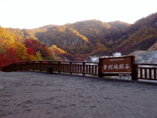日本旅游花費一般多少_9月份日本游價格_日本私人定制旅游
