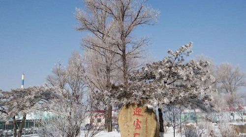  太阳岛戏雪1日游>丹东冬天滑雪好去处