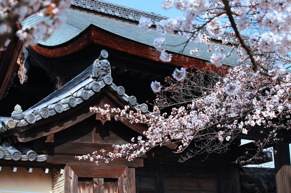 三月去京都是否推荐_三月去京都当月天气_三