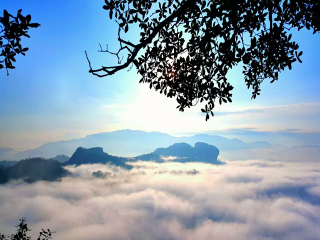 武夷山旅游人次_武夷山旅游报团价格_武夷山游跟团游