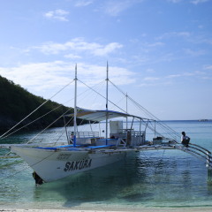 活动模块 
