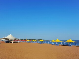 組團(tuán)去大連_大連私人定制旅游_深圳到大連旅游報(bào)價(jià)