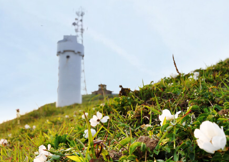 枸杞岛人均_枸杞岛