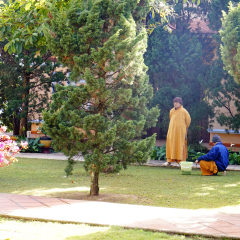 竹林禅寺的#旅图换旅费# #旅拍#