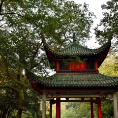 橘子洲头