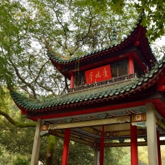 橘子洲头