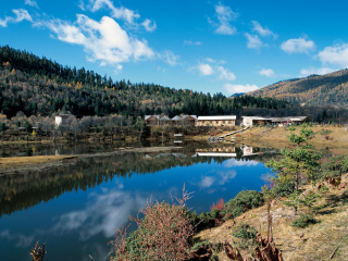 去香格里拉旅行_香格里拉旅游需要多少费用_旅游香格里拉团